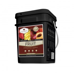 Wise Freeze Dried Fruit Gluten Free 156 Servings 